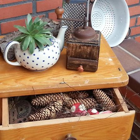 Ferienhaus Emstal In Oberlangen Lathen Bagian luar foto